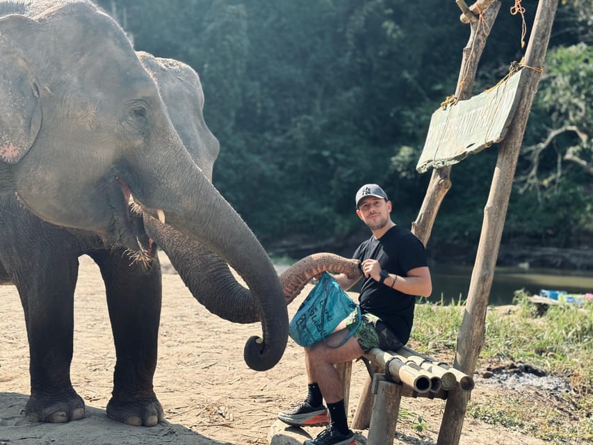 Aries Program Aries Holidays - Elephant Sanctuary Feeding Program (Half-Day Tour)