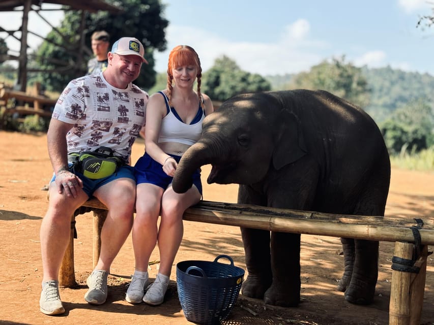 Aries Program Aries Holidays - Elephant Sanctuary Feeding Program (Half-Day Tour)